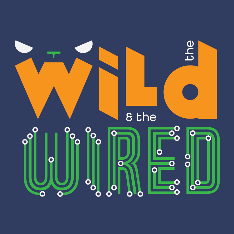 WildandWired